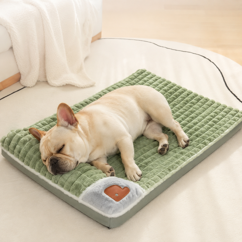 French bulldog lying on a green pet bed with a heart design in a cozy room.