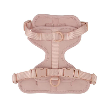 Pink dog harness on a white background