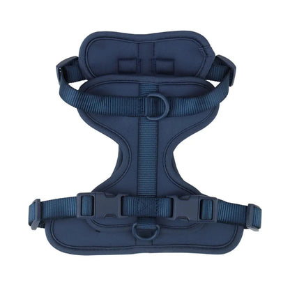 Blue dog harness on a white background