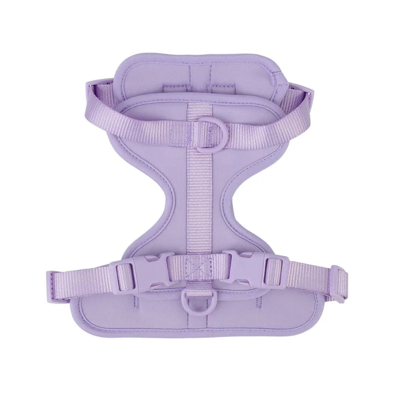 Purple dog harness on a white background