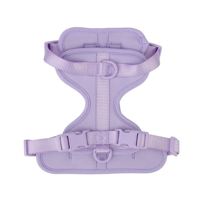 Purple dog harness on a white background