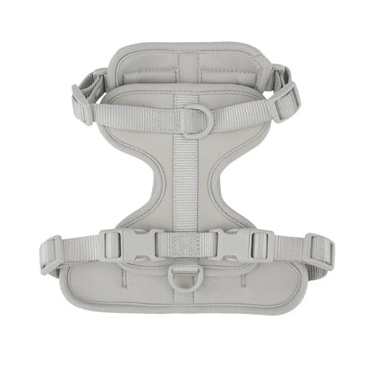 Gray dog harness on a white background