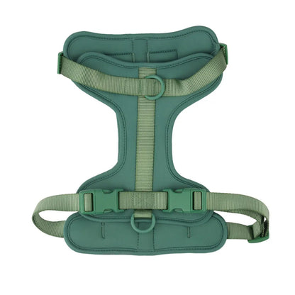 Green dog harness on a white background