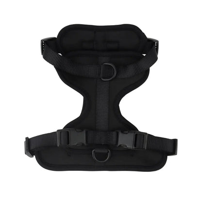 Black dog harness on a white background