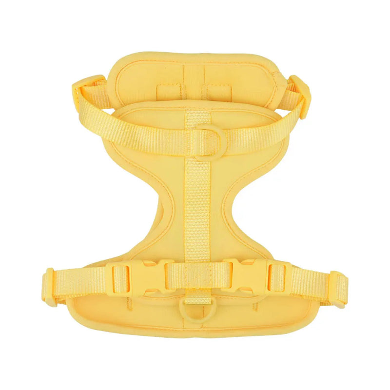 Yellow dog harness on a white background