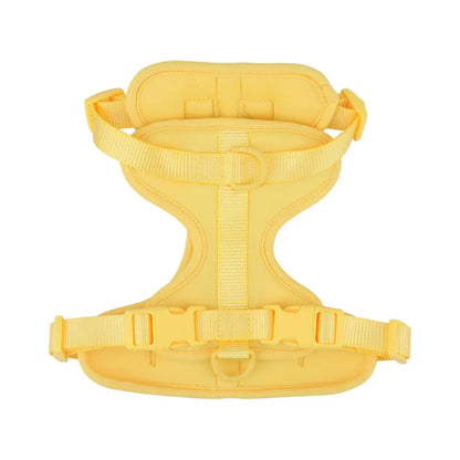 Yellow dog harness on a white background