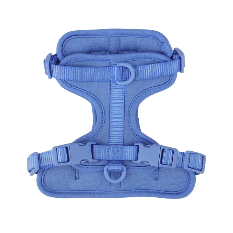 Blue dog harness on a white background