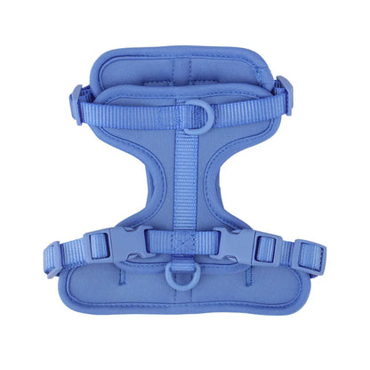 Blue dog harness on a white background