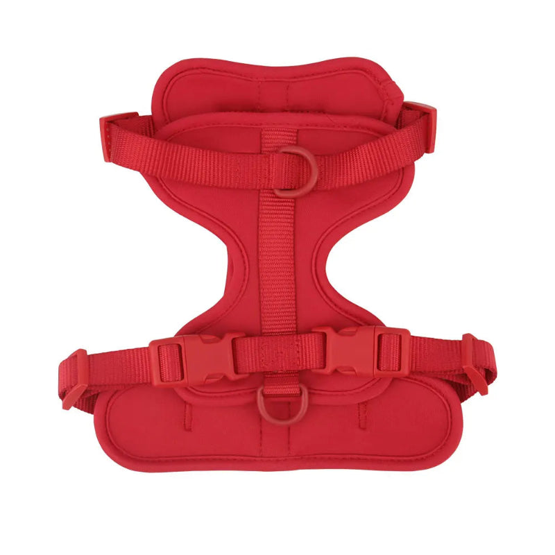 Red dog harness on a white background